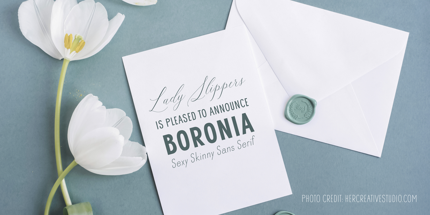 Boronia Free Download Free Download Boronia Free Download Free Download